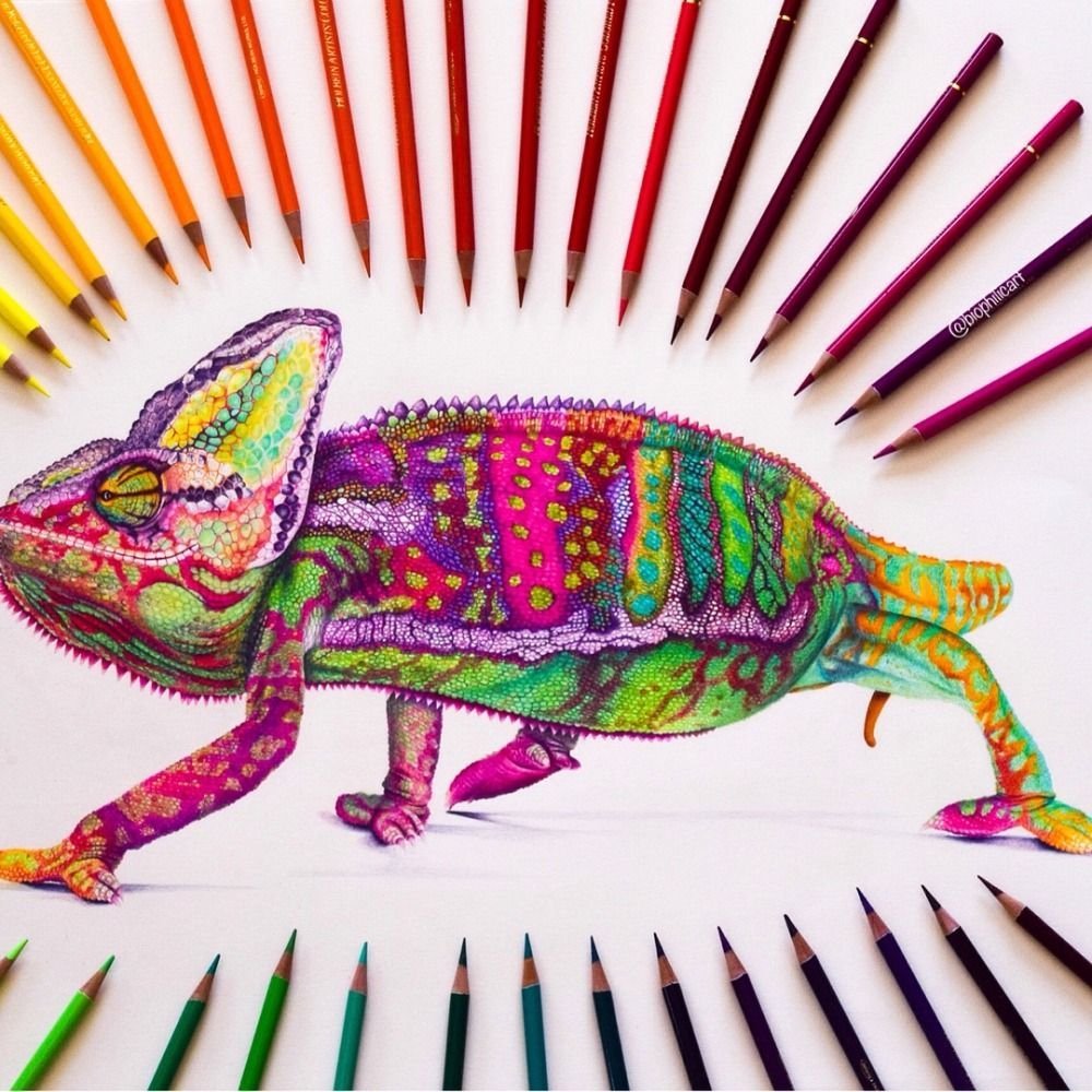 Рисование цветными карандашами хамелеон