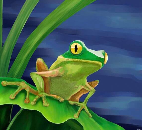 Лягушка картина