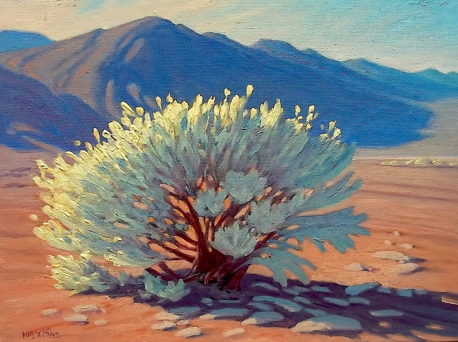 Пустыня картины художников