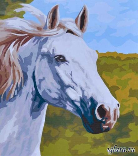 Рисование по номерам лошади