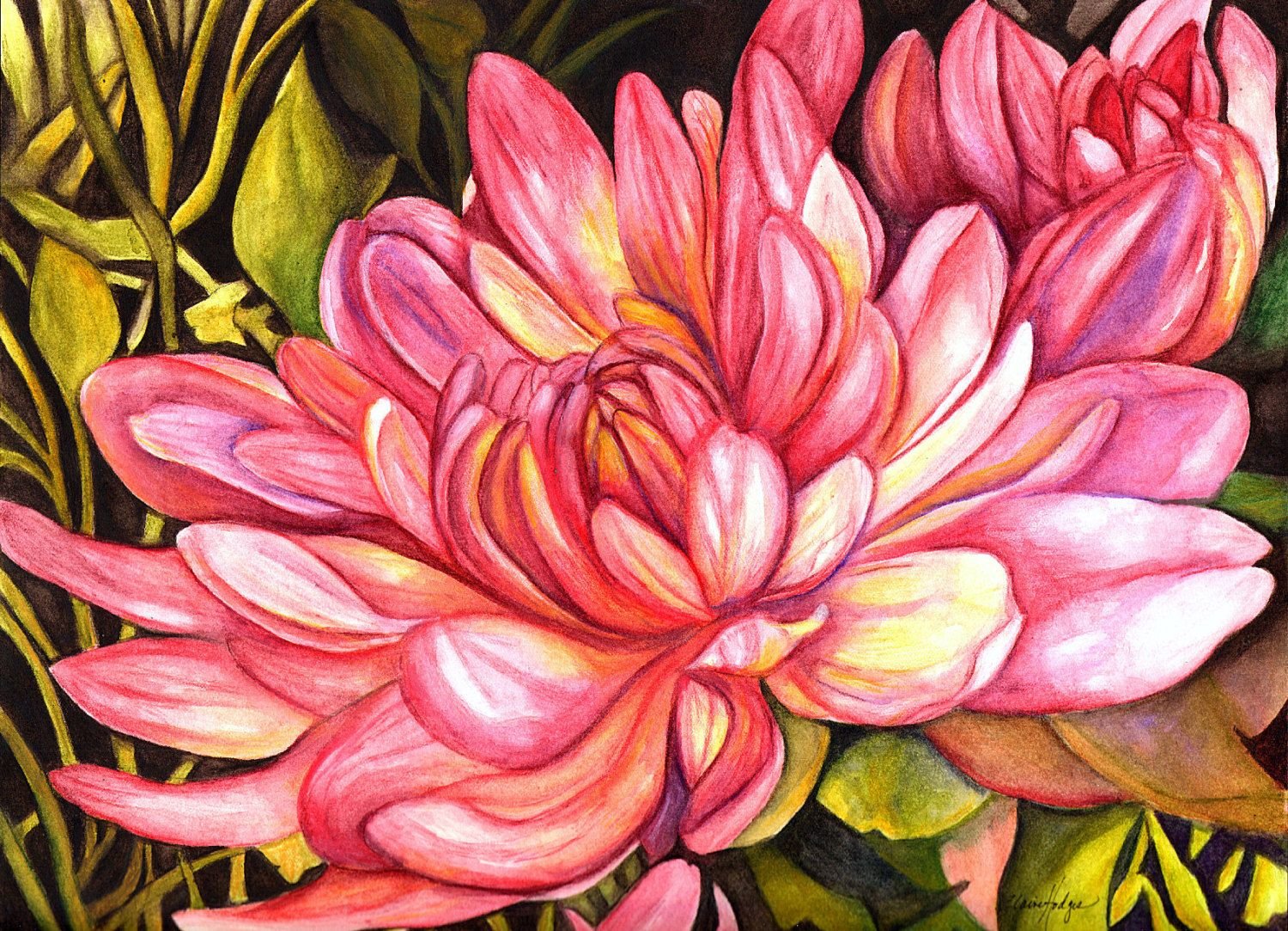 Chrysanthemum Flower Painting