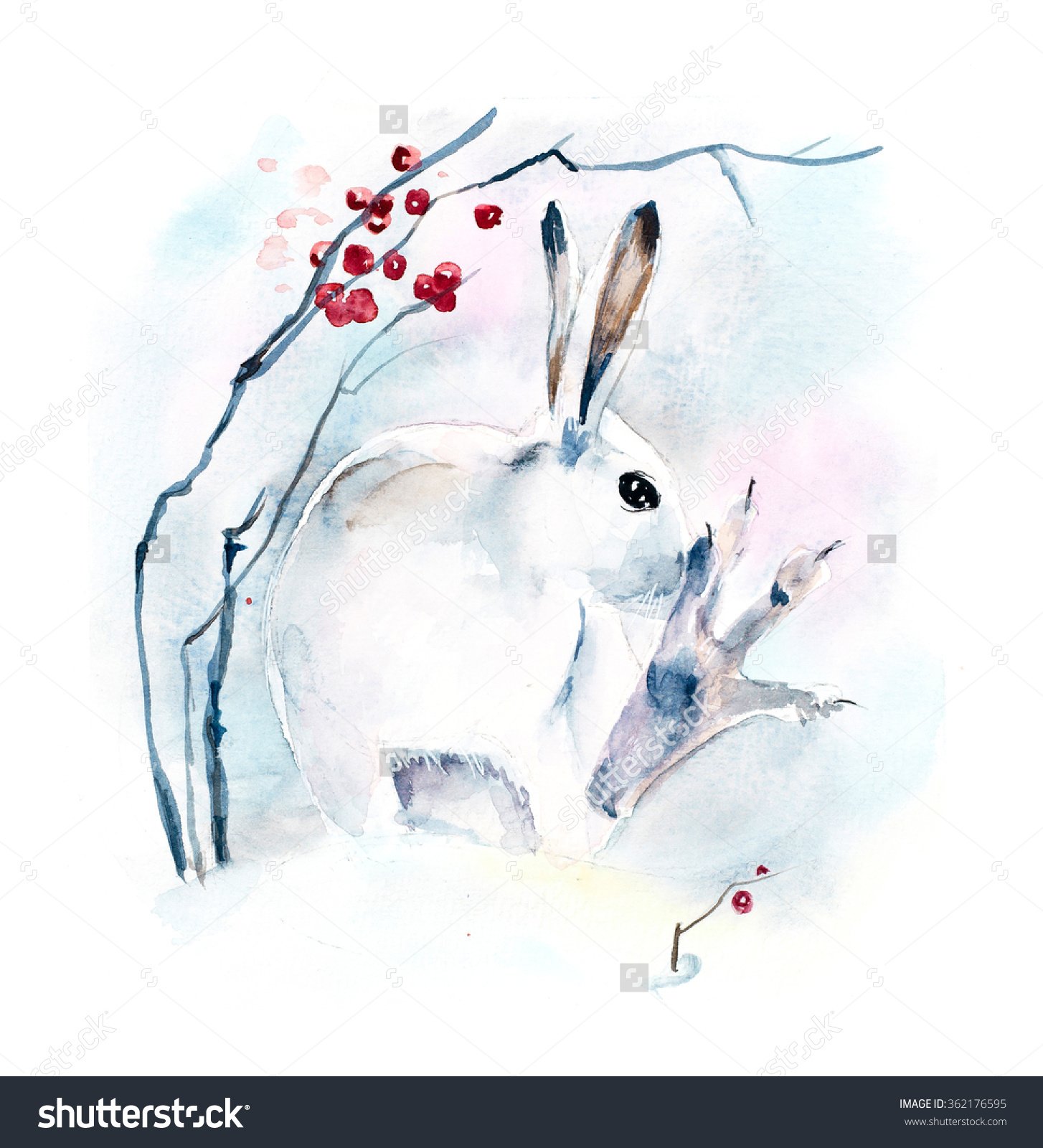Белый акварельный зимний заяц