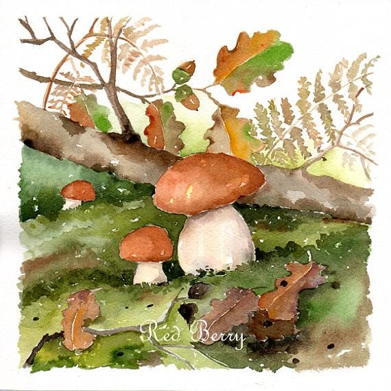 Осенний лес грибы акварель