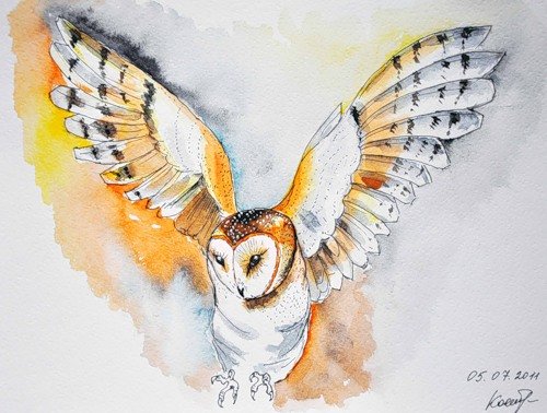 Крылья Совы акварелью