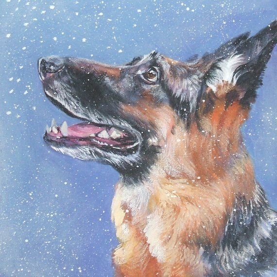 Овчарка гуашью