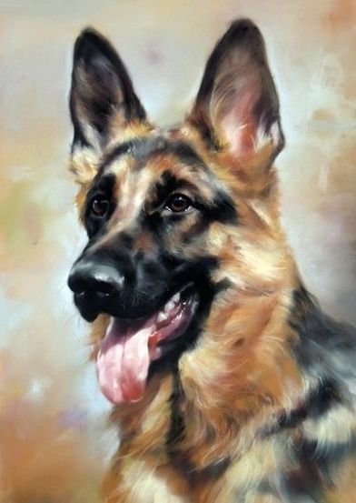 Восточноевропейская овчарка живопись