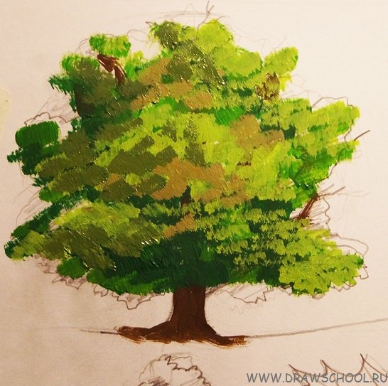 Рисование дуба