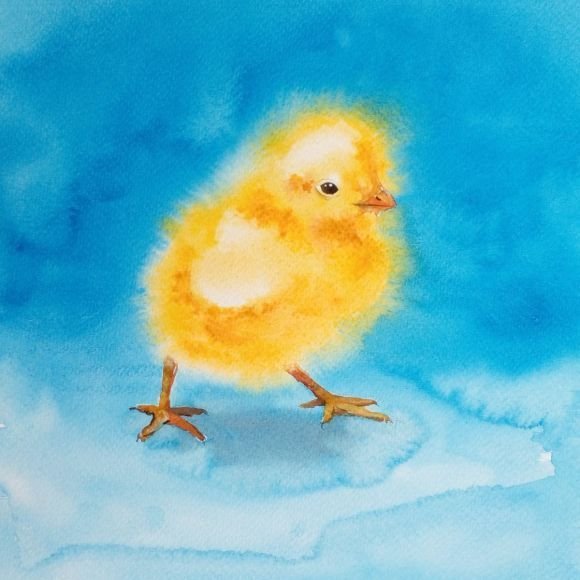 Цыпленок пастелью