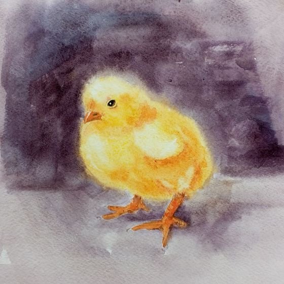 Цыпленок акварелью