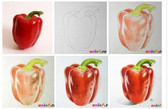 Перец акварелью поэтапно