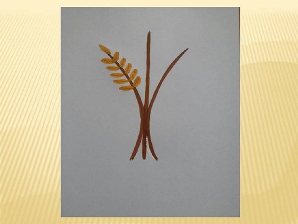 Рисование колосок старшая группа