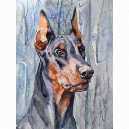 Картина по номерам Доберман