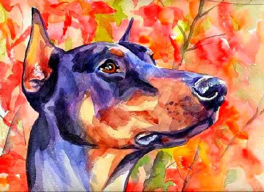 Картина по номерам пинчер