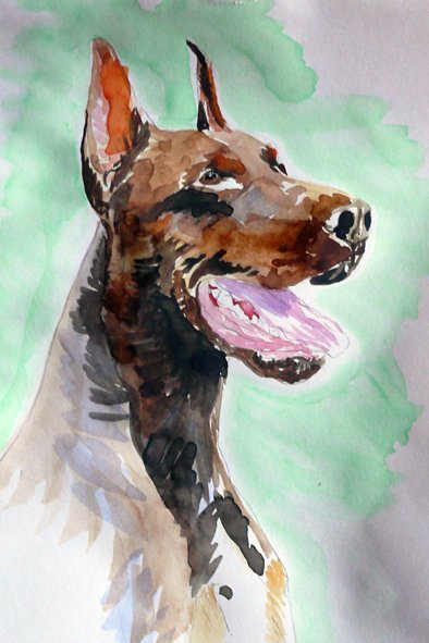 Доберман мастихином