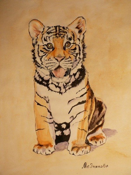 Милый Тигренок акварель
