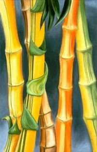 Рисунок гуашью бамбук