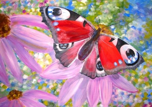 Бабочки красивые краски