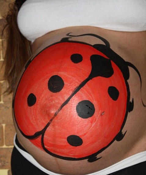 Животик Божьей коровки