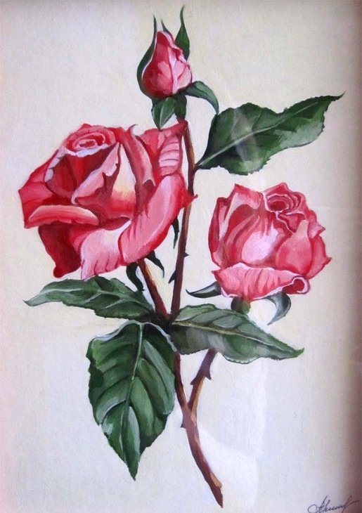 Нарисовать розу гуашью