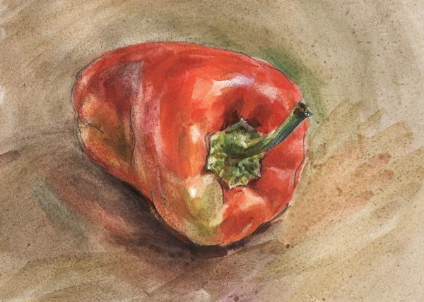 Болгарские перцы Этюд