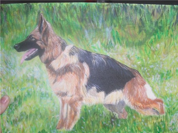 Немецкая овчарка Мухтар арт