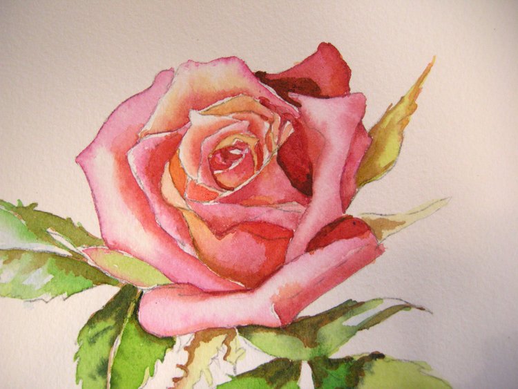 Рисуем розу гуашью