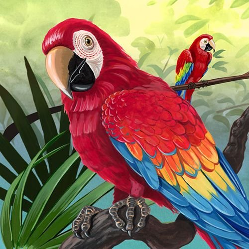 Попугаи неразлучники пастелью