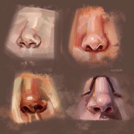 Нос туториал