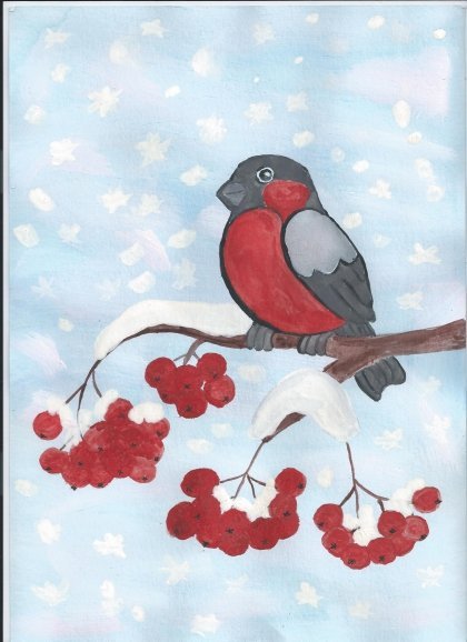 Рисование Снегирь на ветке