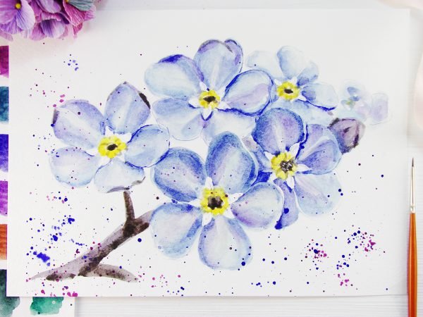 Рисование незабудки акварелью для начинающих