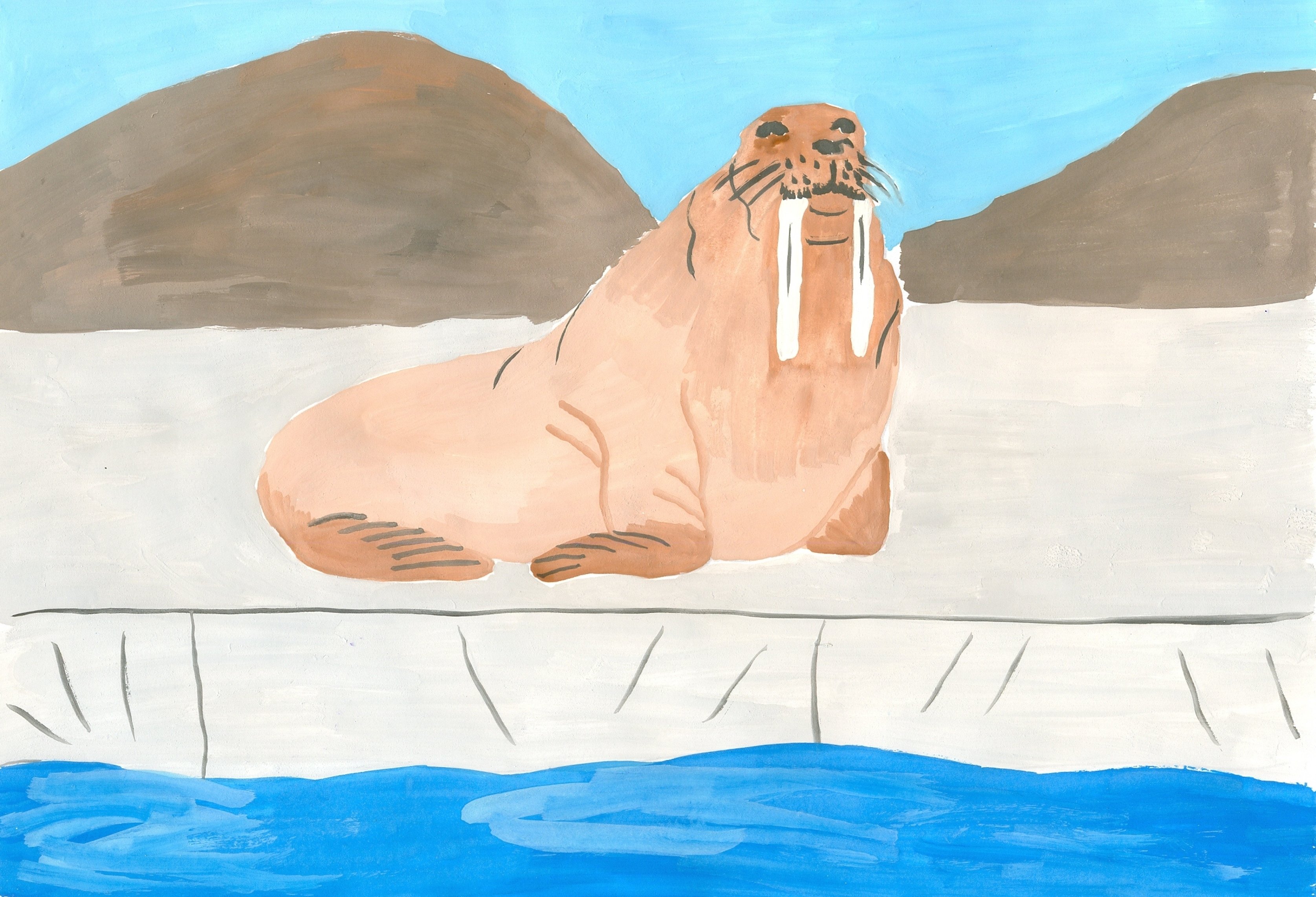 Рисование моржа в подготовительной группе
