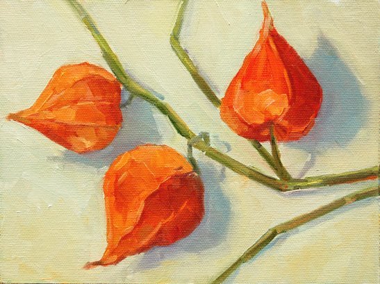 Физалис гуашью