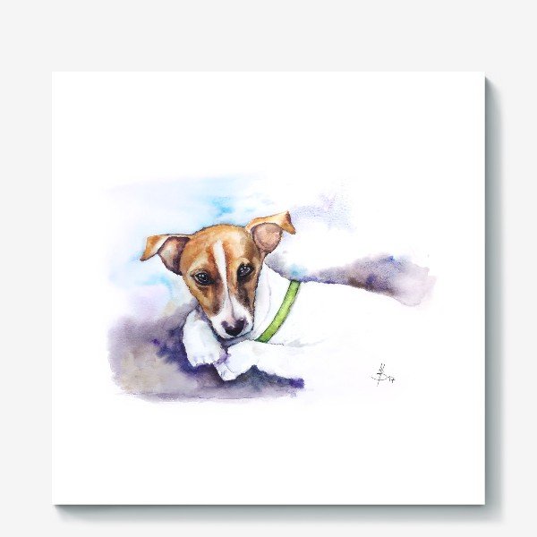Собаки картины по номерам Джек Рассел