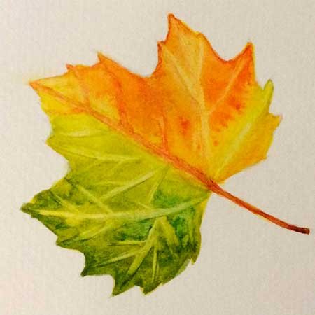 Кленовый листок красками