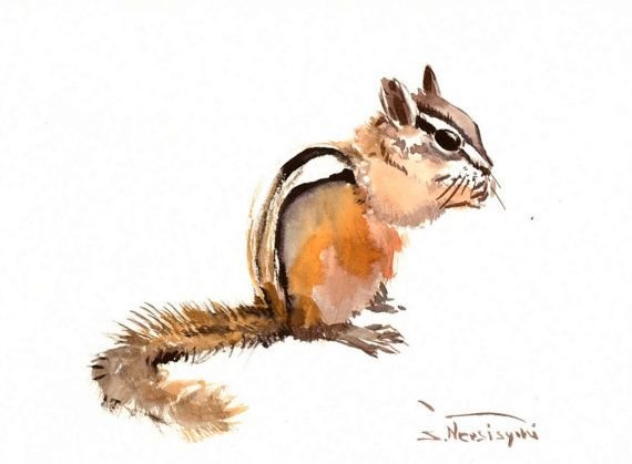 Бурундук красками