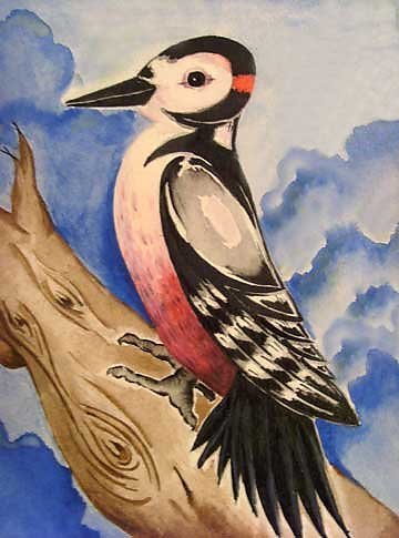 Дятел рисунок для детей