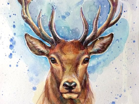 Олень красками