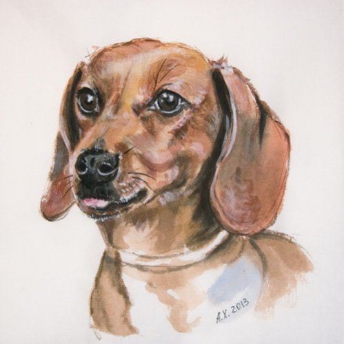 Такса в акварельной технике