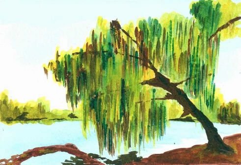 Ива гуашью