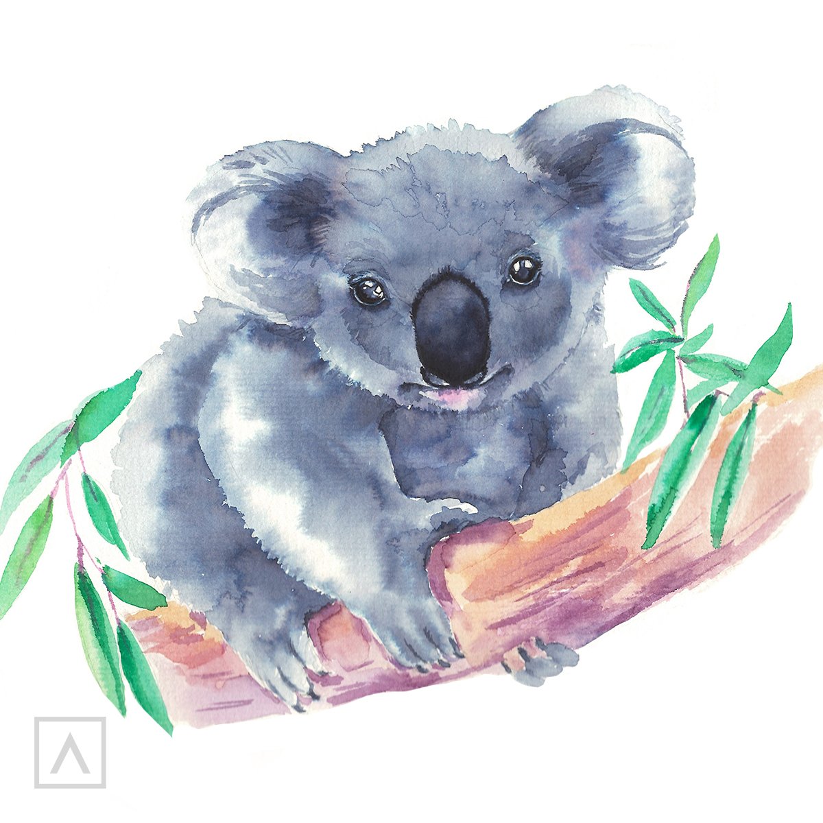 Арты животных коалы