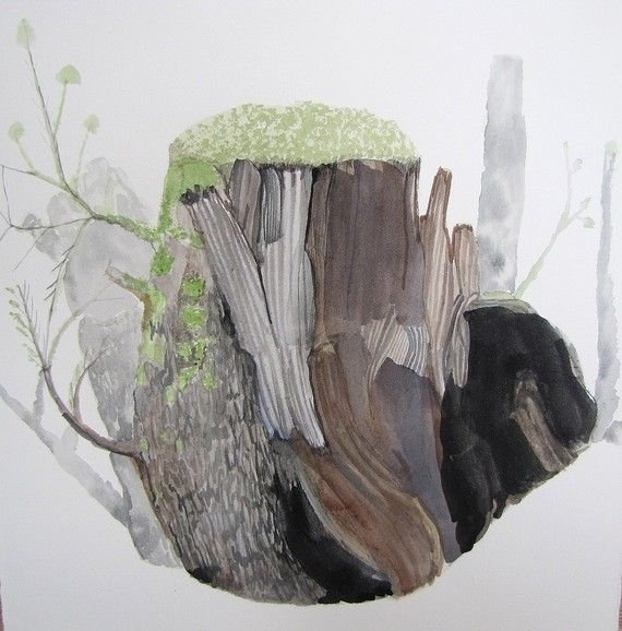 Пенек акварель