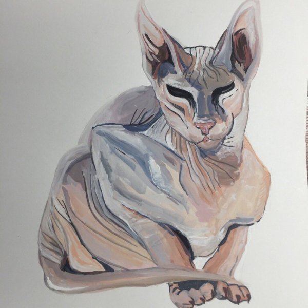 Сфинкс гуашью