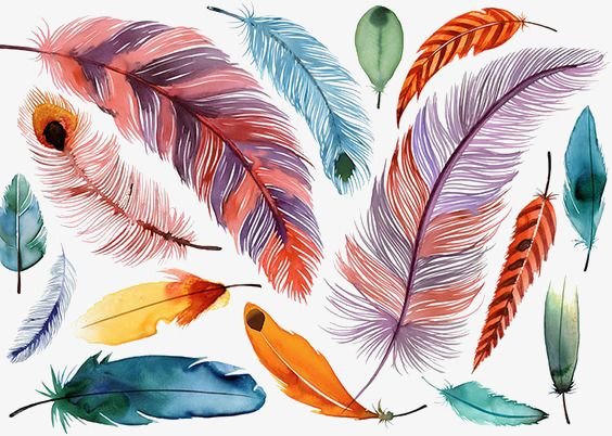 Птица с цветными перьями