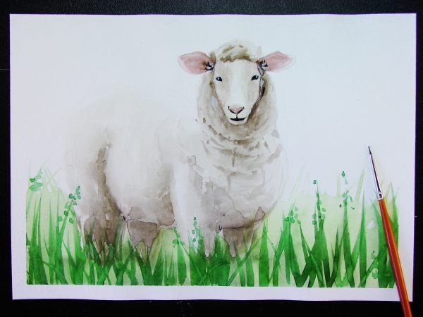 Баран красками