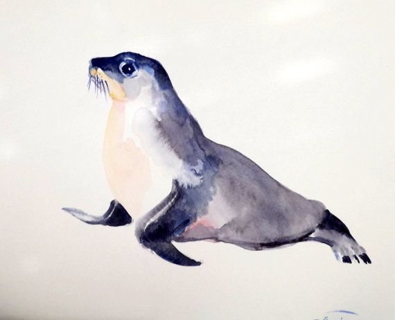 Нерпа гуашью