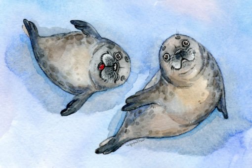 Тюлень для детей