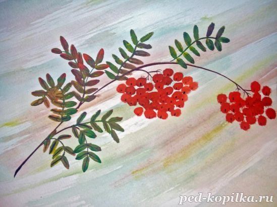 Гроздь рябины ватными палочками