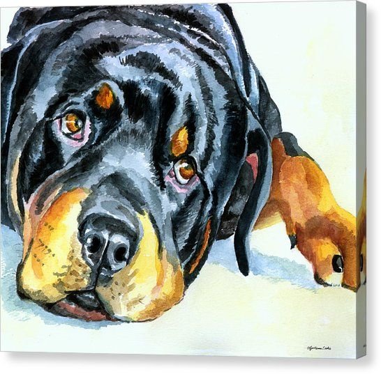 Аппликация ротвейлер