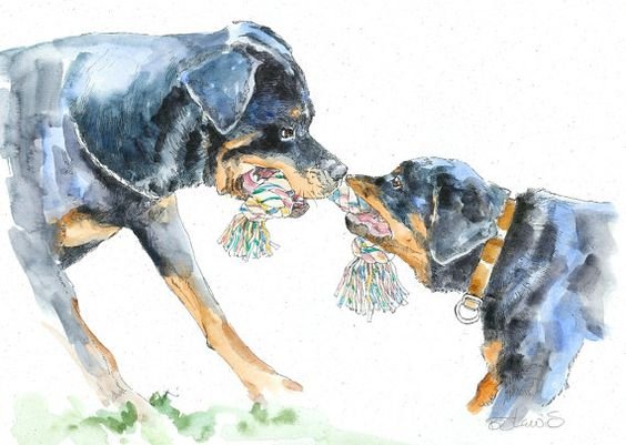 Собака ротвейлер гуашью