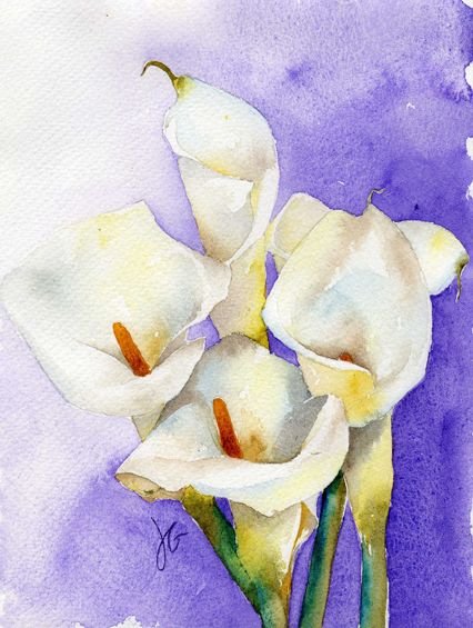 Картины цветы каллы